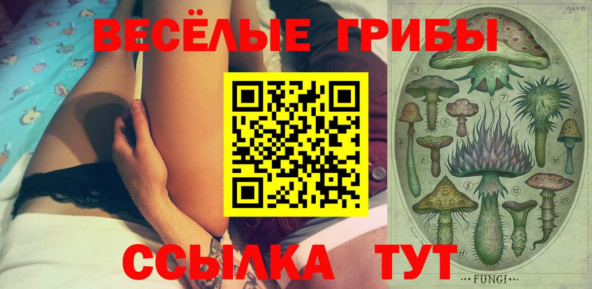 Псилоцибиновые грибы GOLDEN TEACHER  Вход с VPN  наркошоп  Заинск 